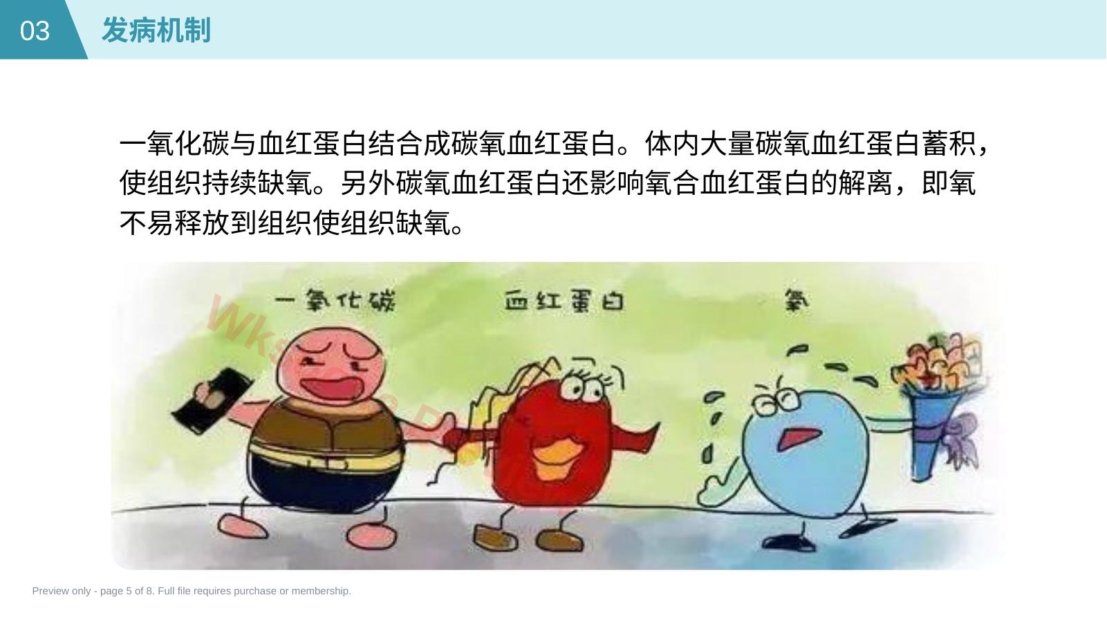 预览第 5 页
