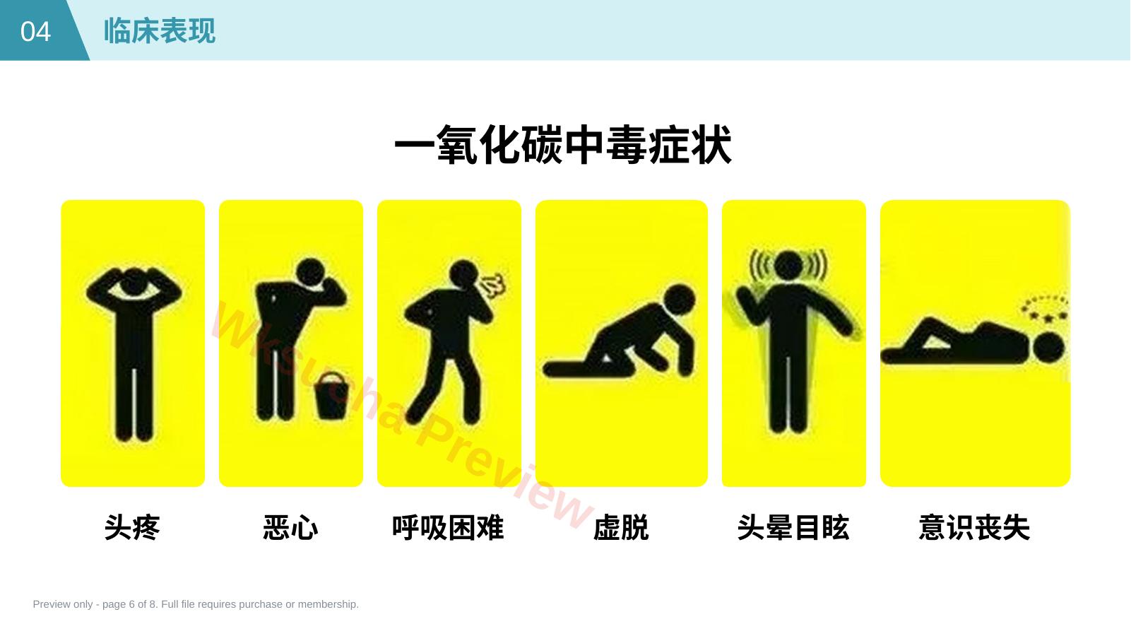 预览第 6 页