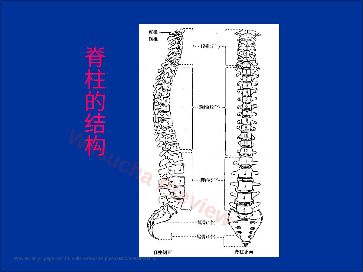 预览第 3 页