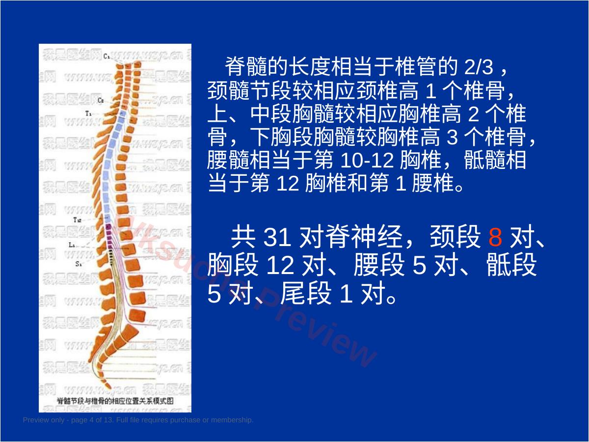 预览第 4 页