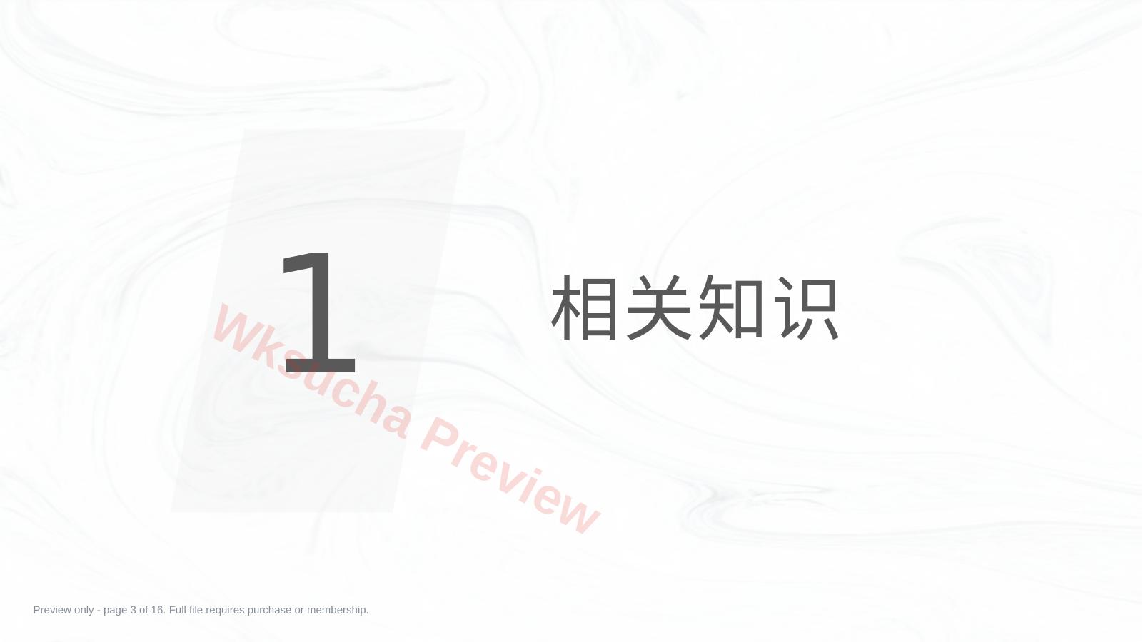预览第 3 页