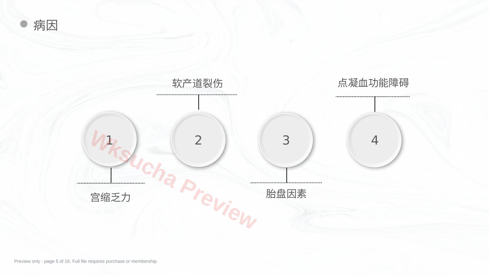 预览第 5 页