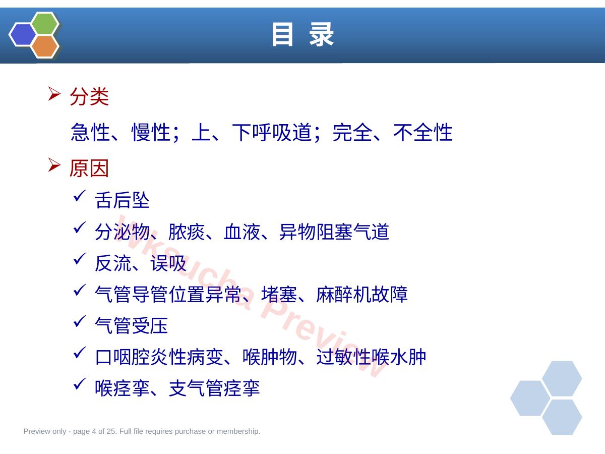 预览第 4 页