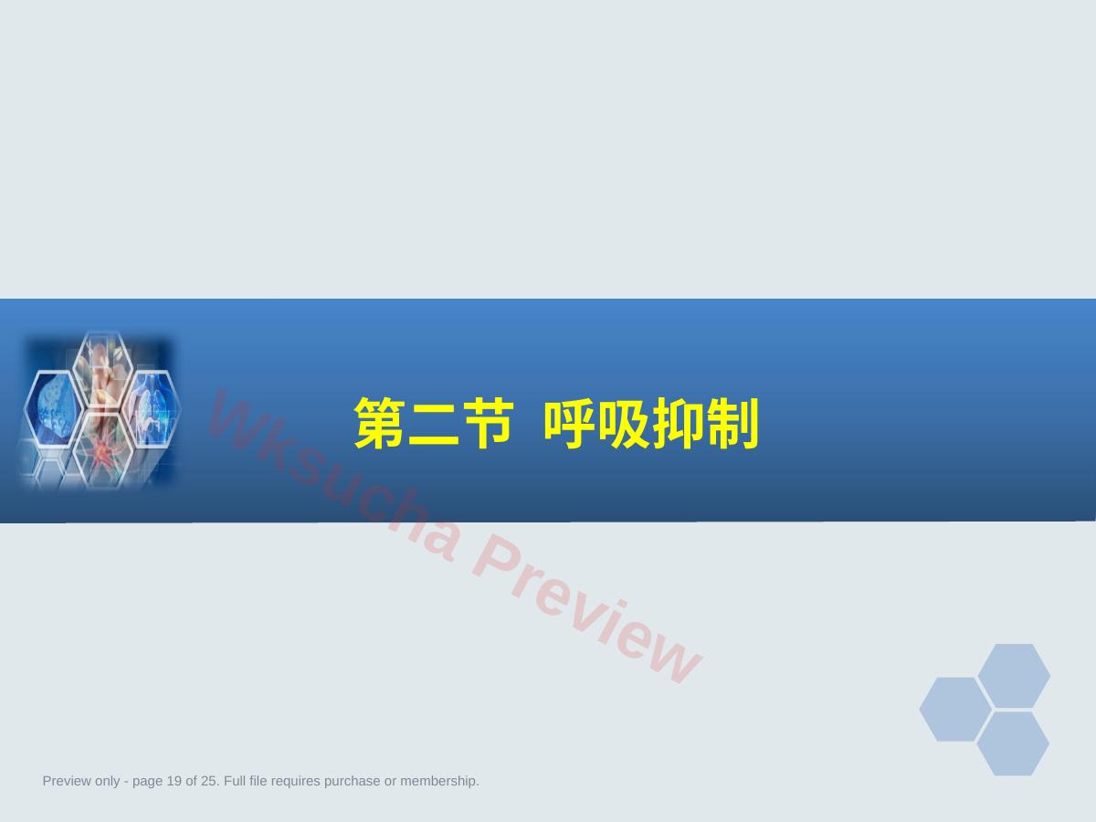 预览第 19 页