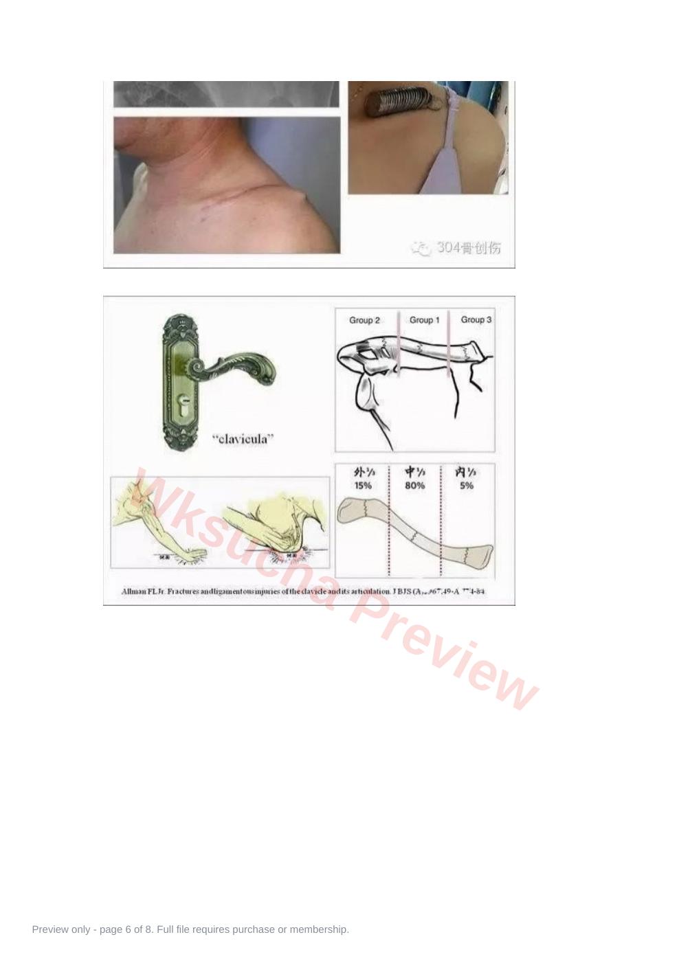 预览第 6 页