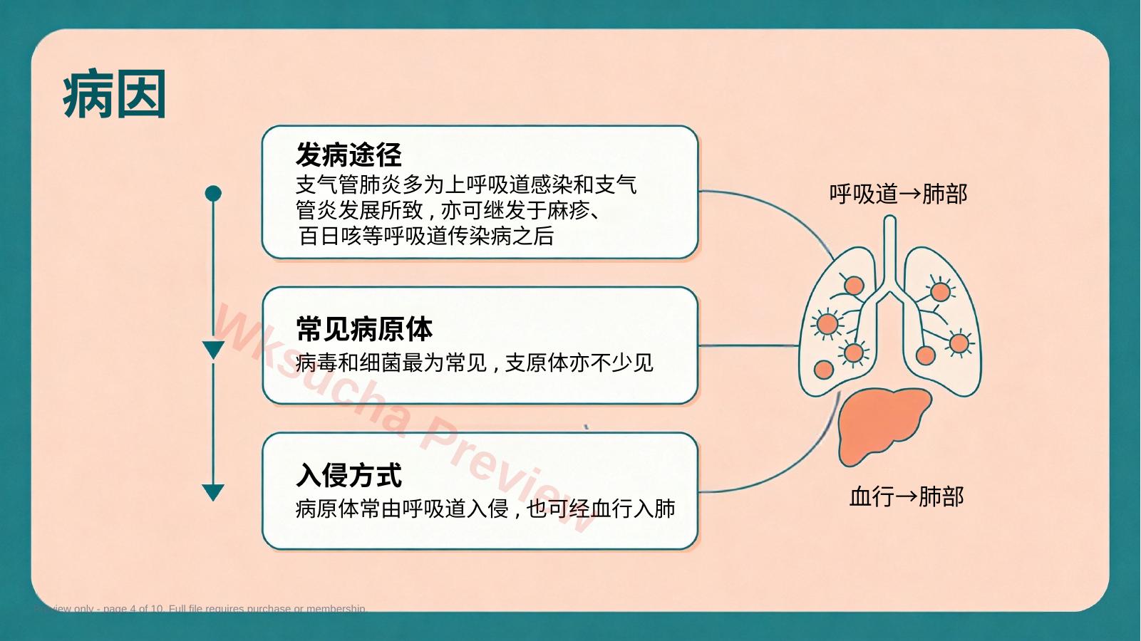 预览第 4 页