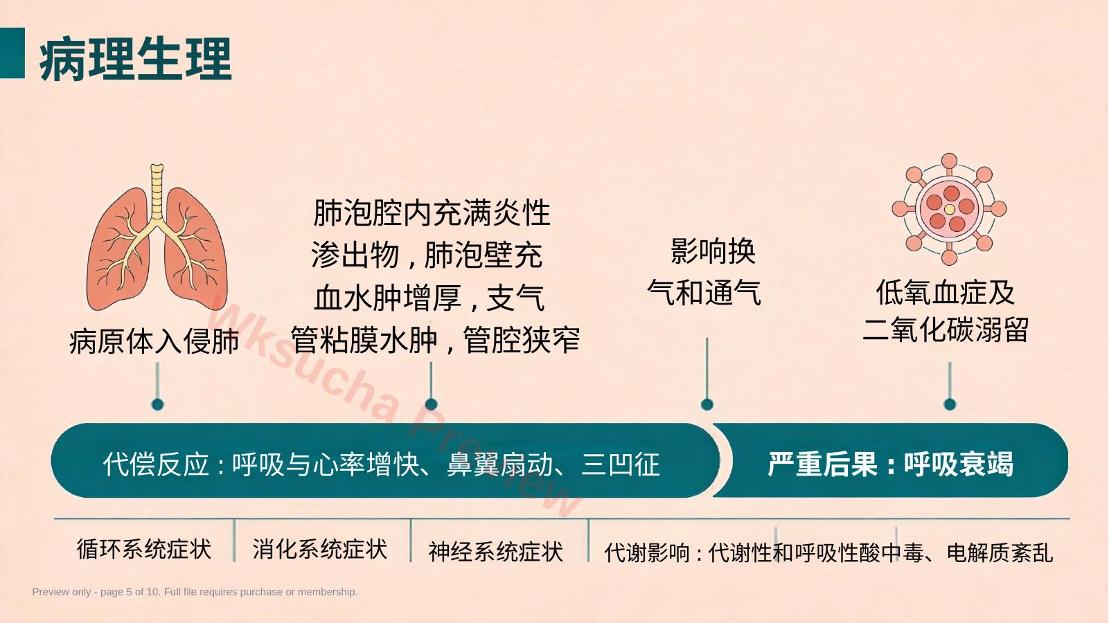 预览第 5 页