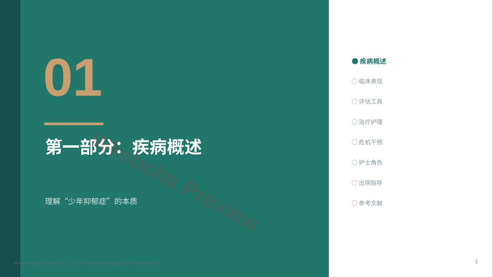 预览第 3 页