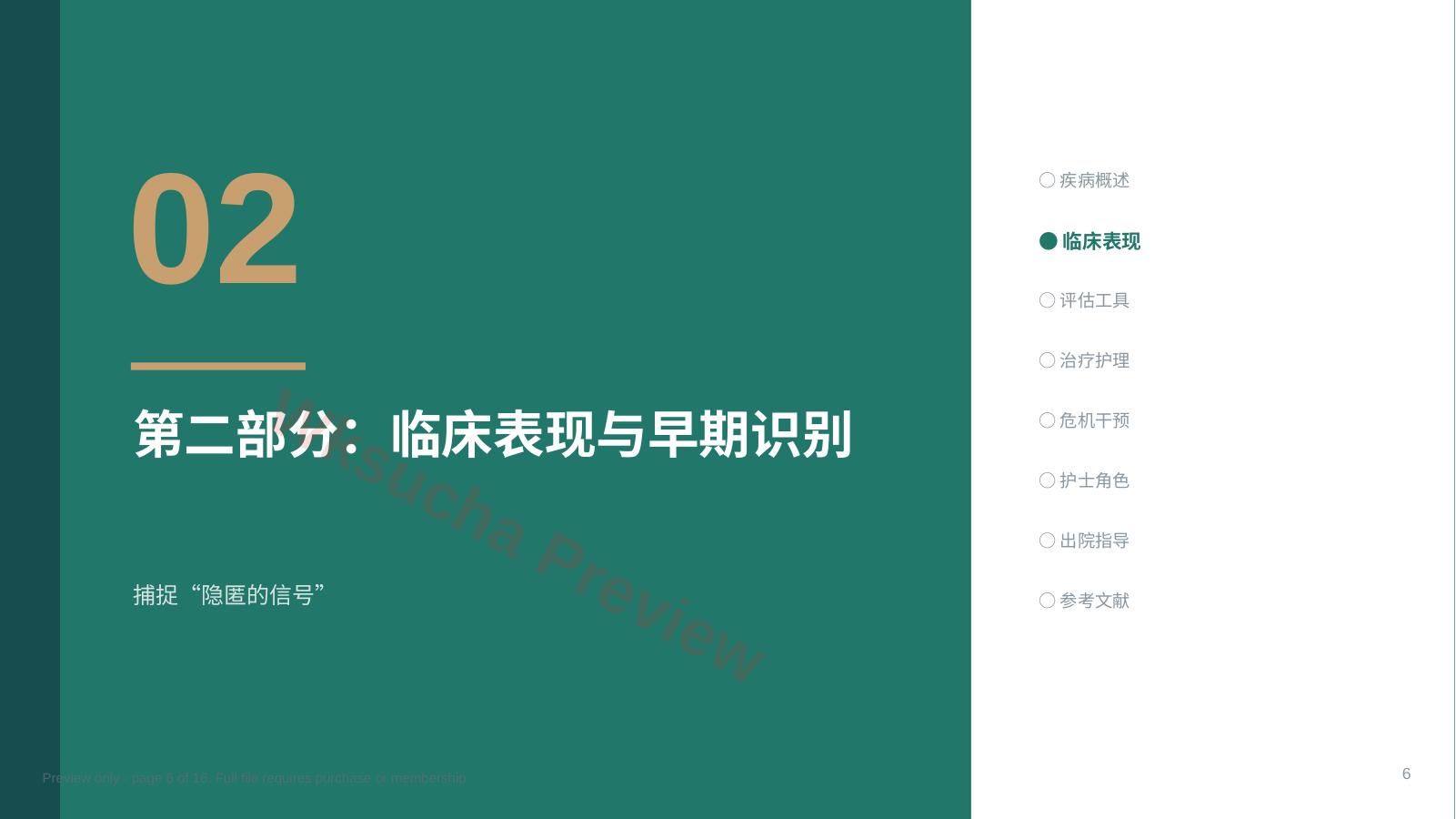 预览第 6 页