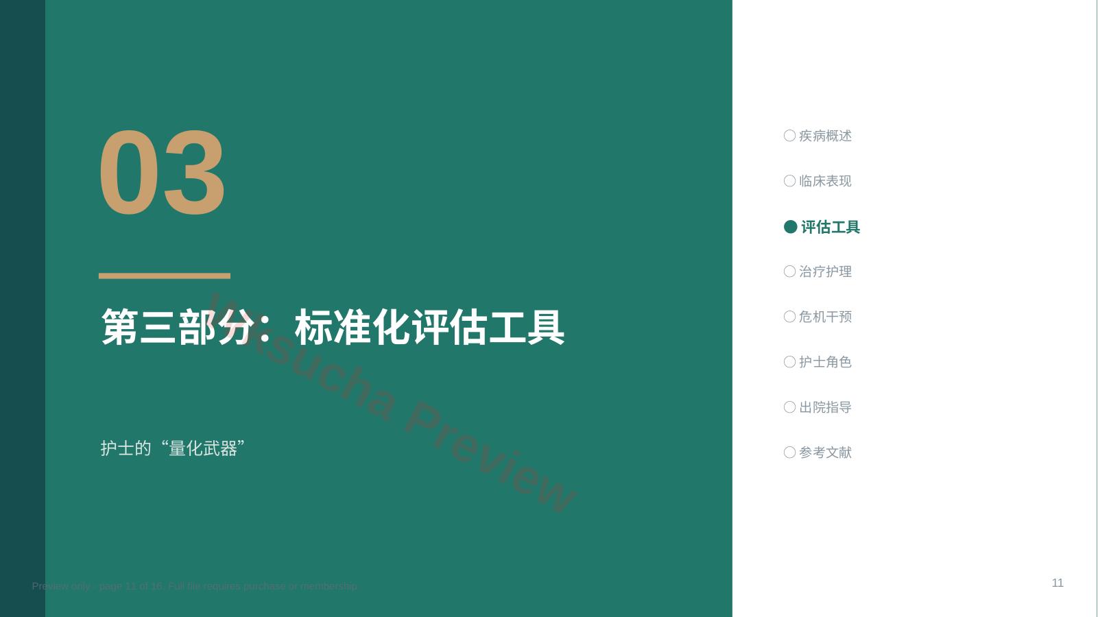 预览第 11 页