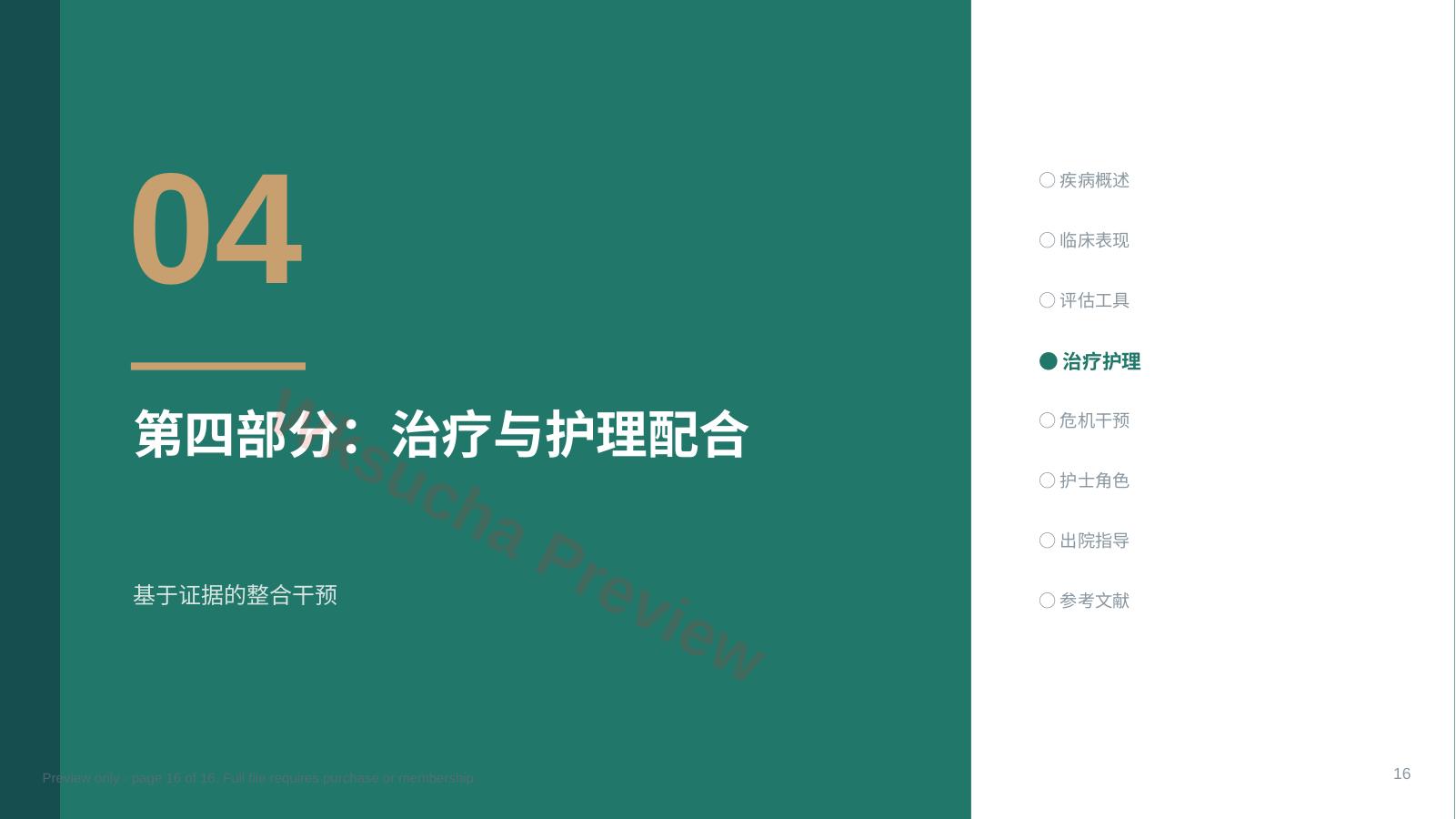 预览第 16 页