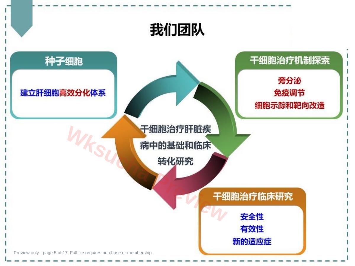 预览第 5 页