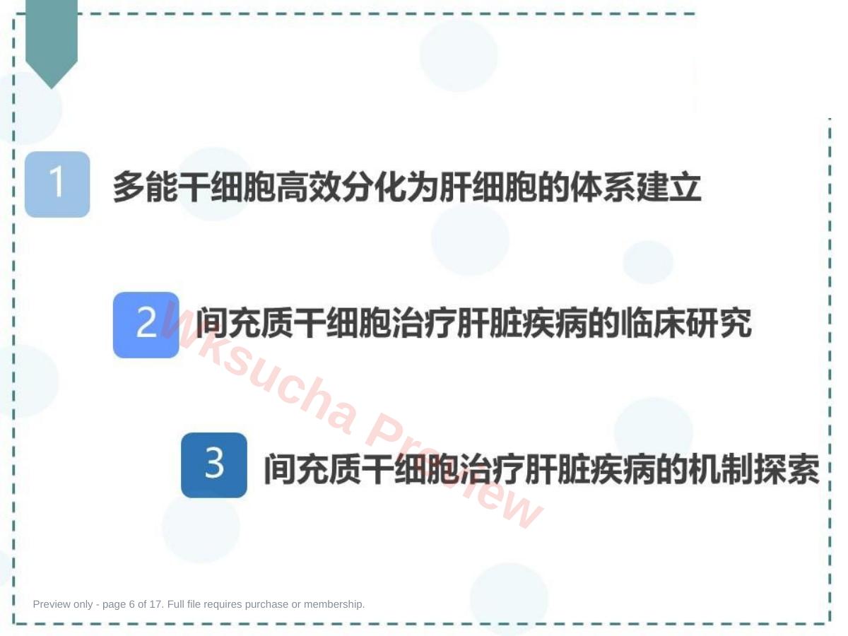 预览第 6 页
