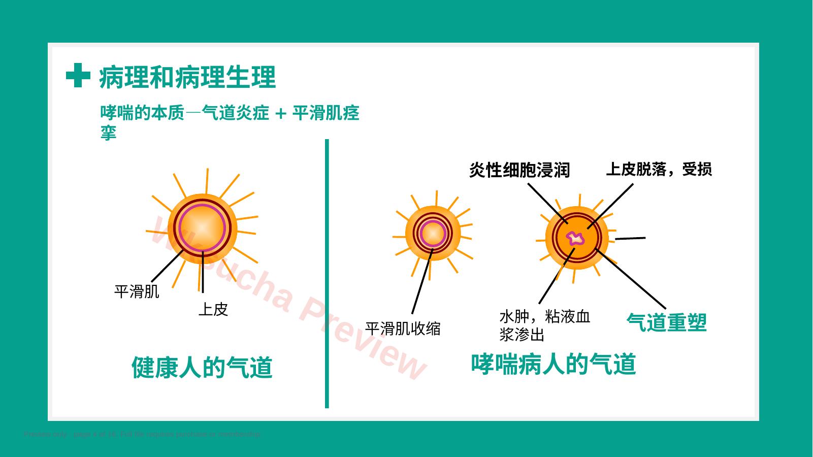 预览第 4 页