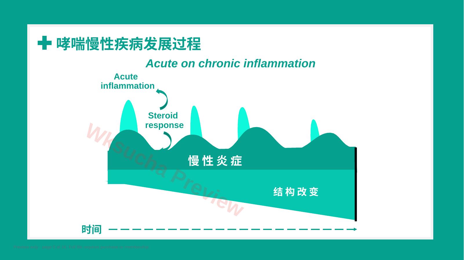 预览第 5 页