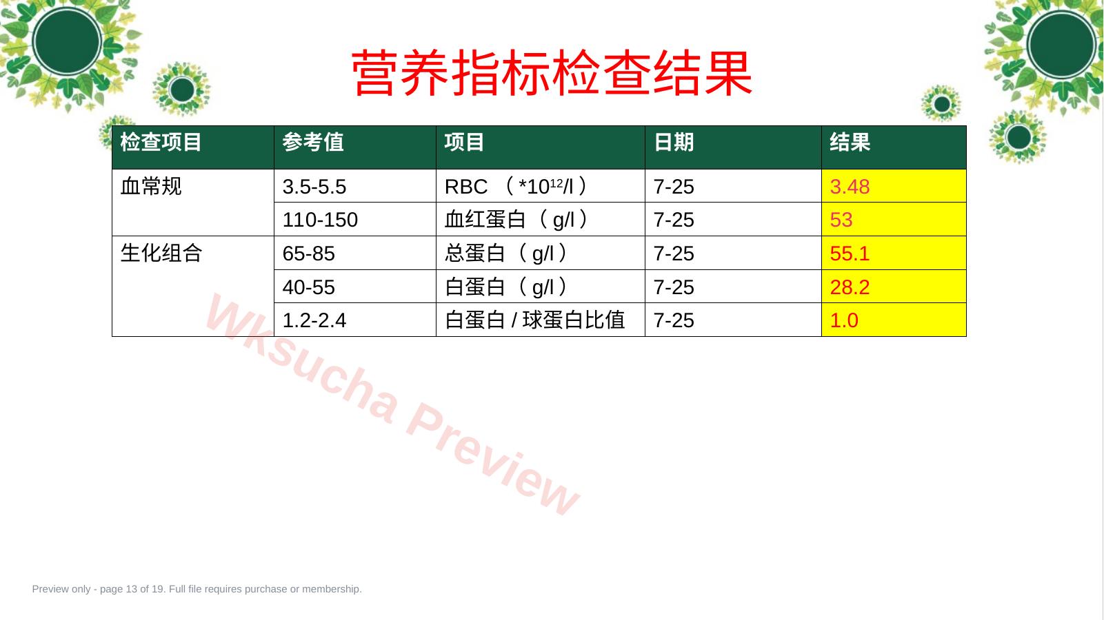 预览第 13 页