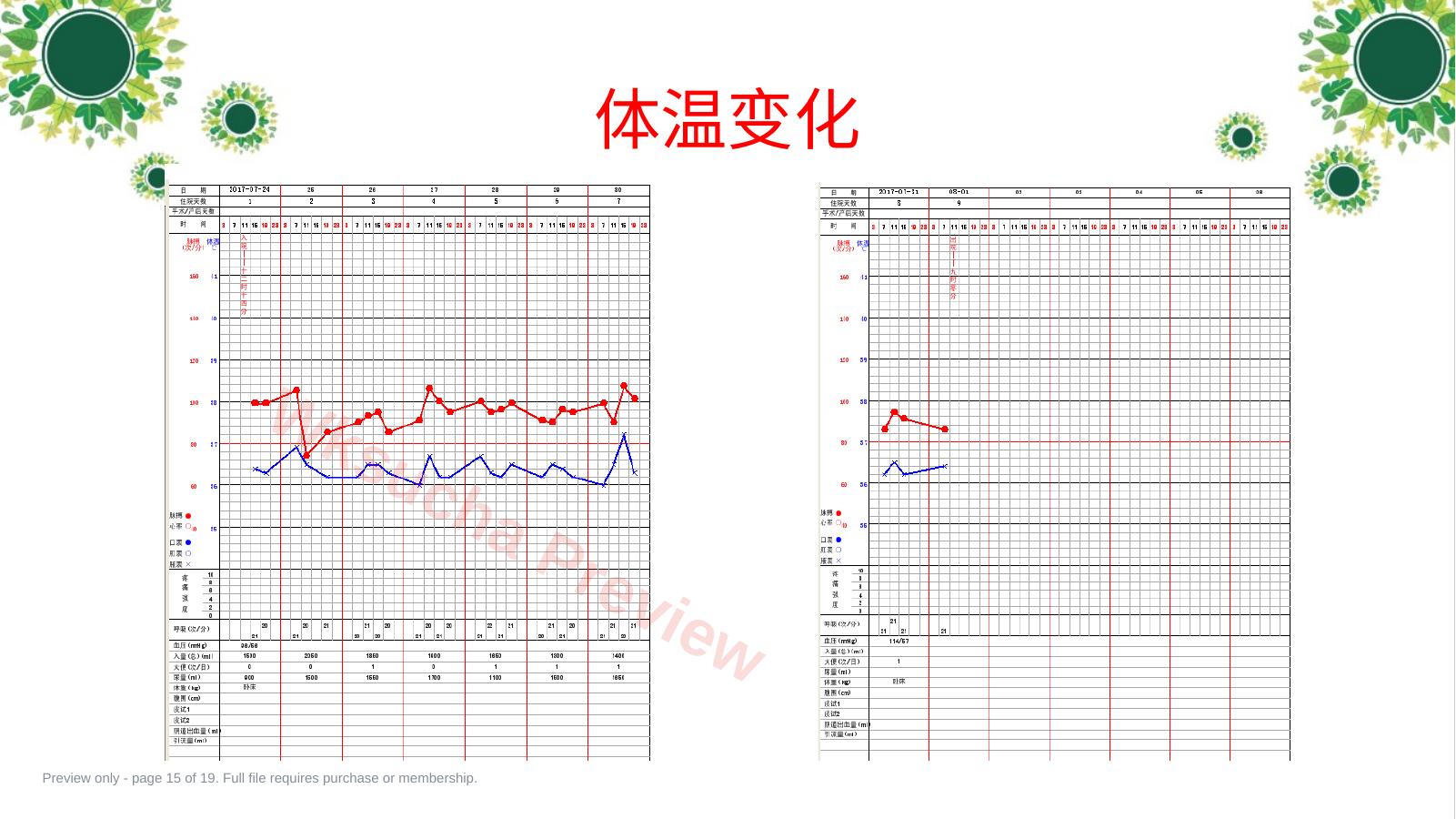 预览第 15 页