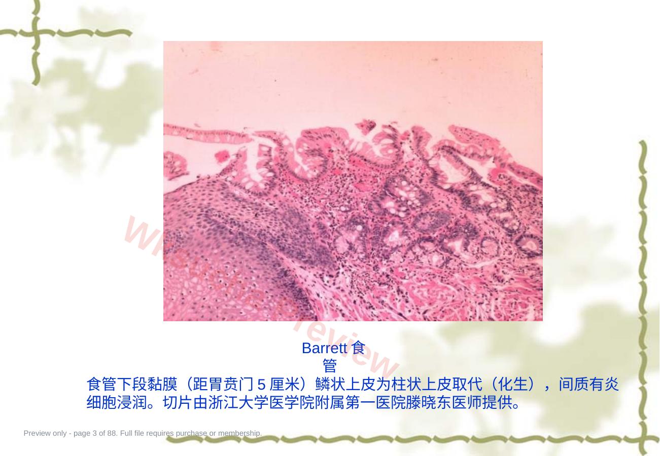 预览第 3 页