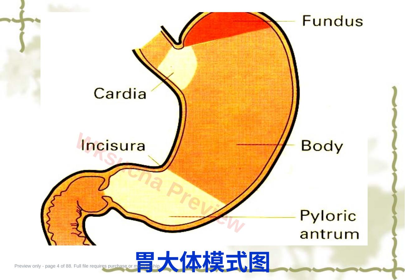 预览第 4 页