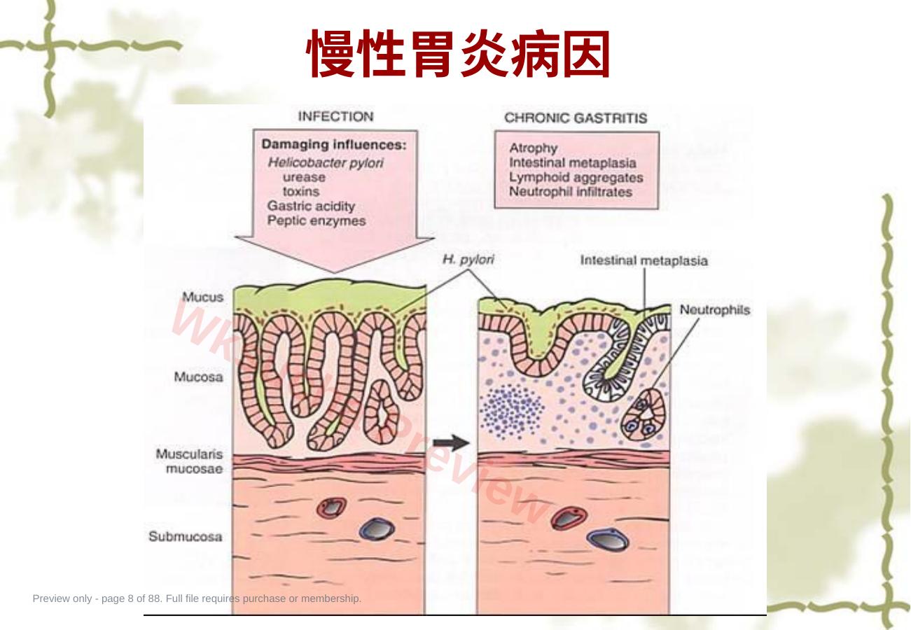 预览第 8 页