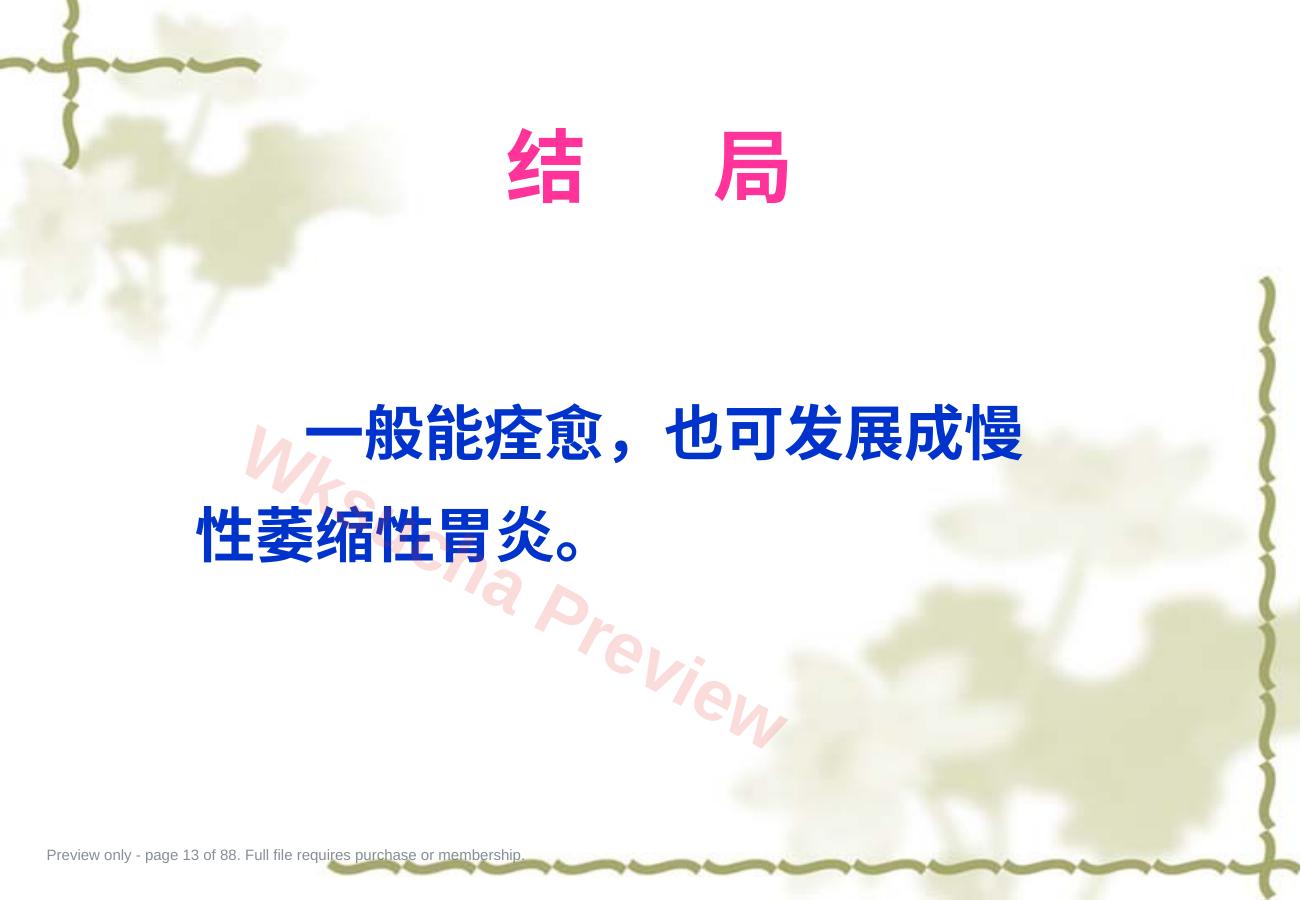 预览第 13 页