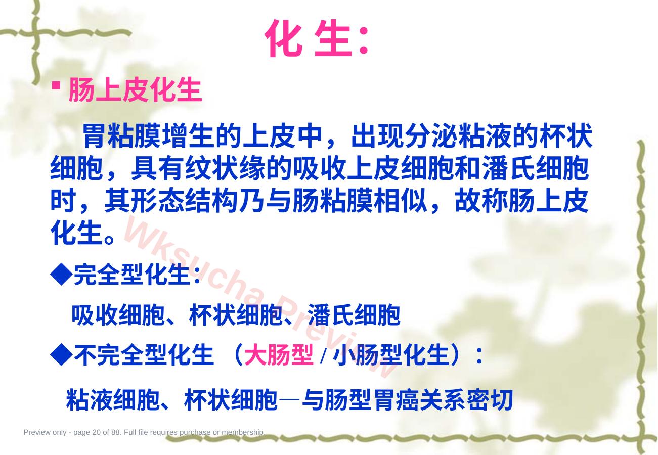 预览第 20 页
