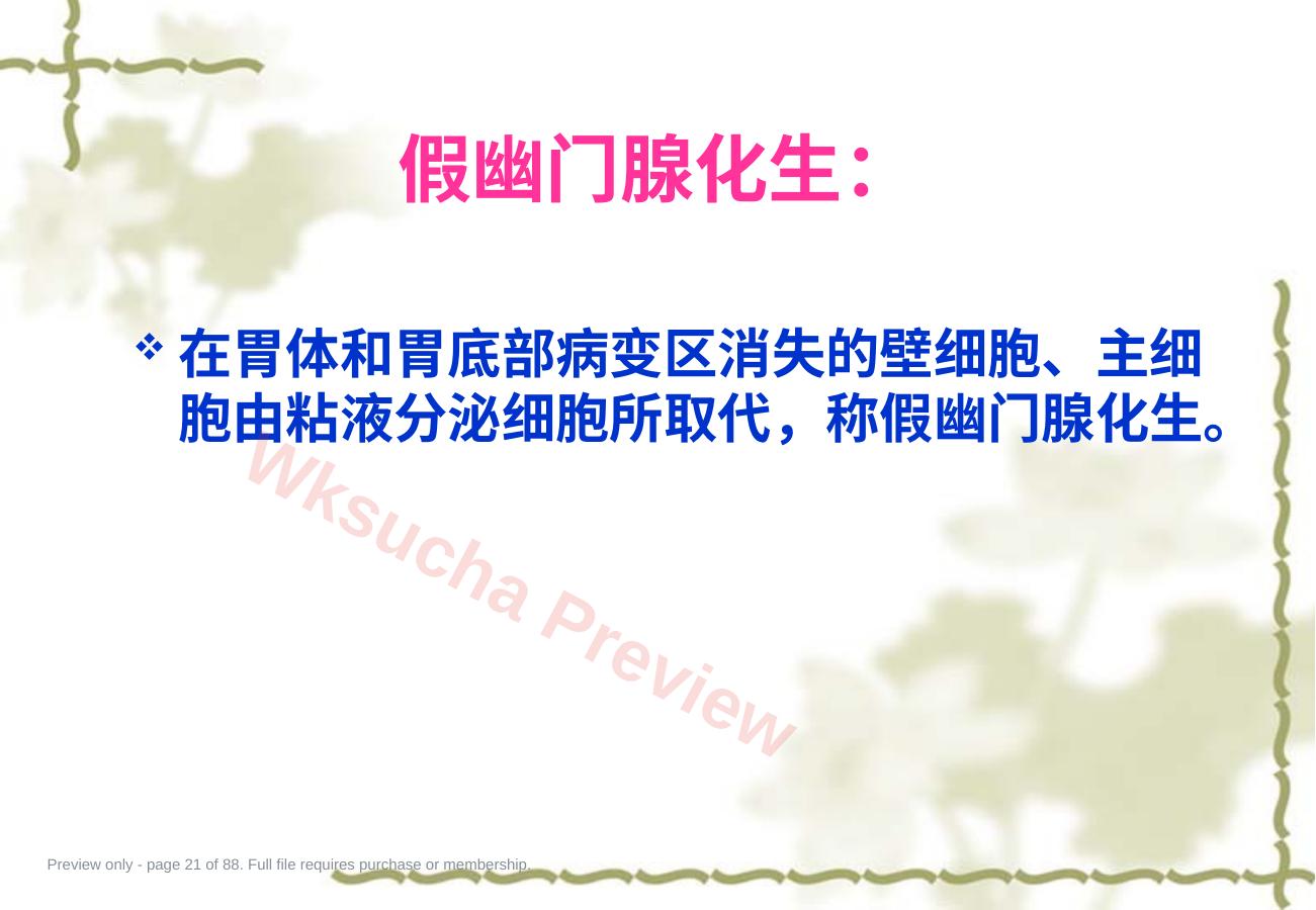 预览第 21 页