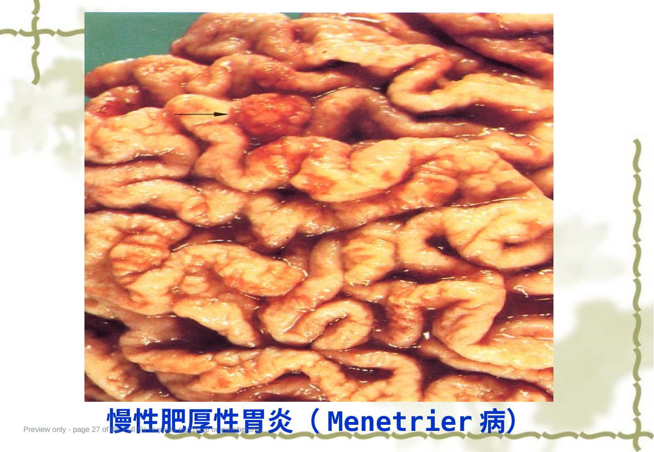 预览第 27 页