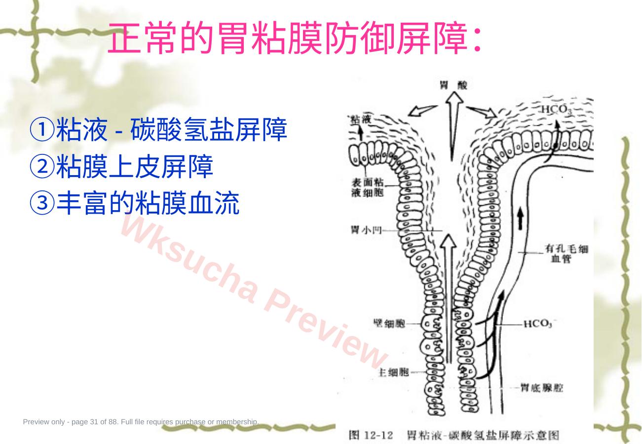 预览第 31 页
