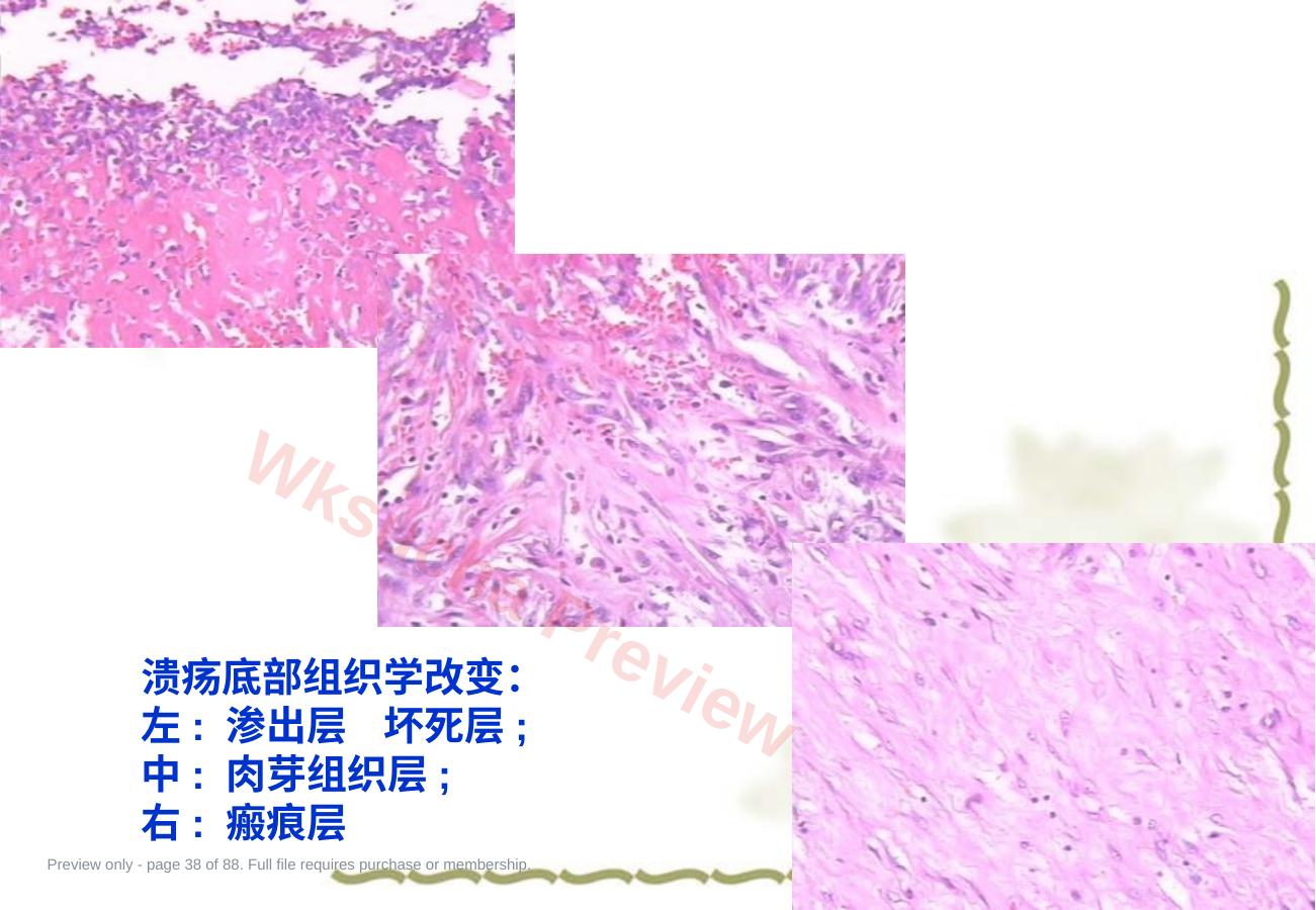预览第 38 页