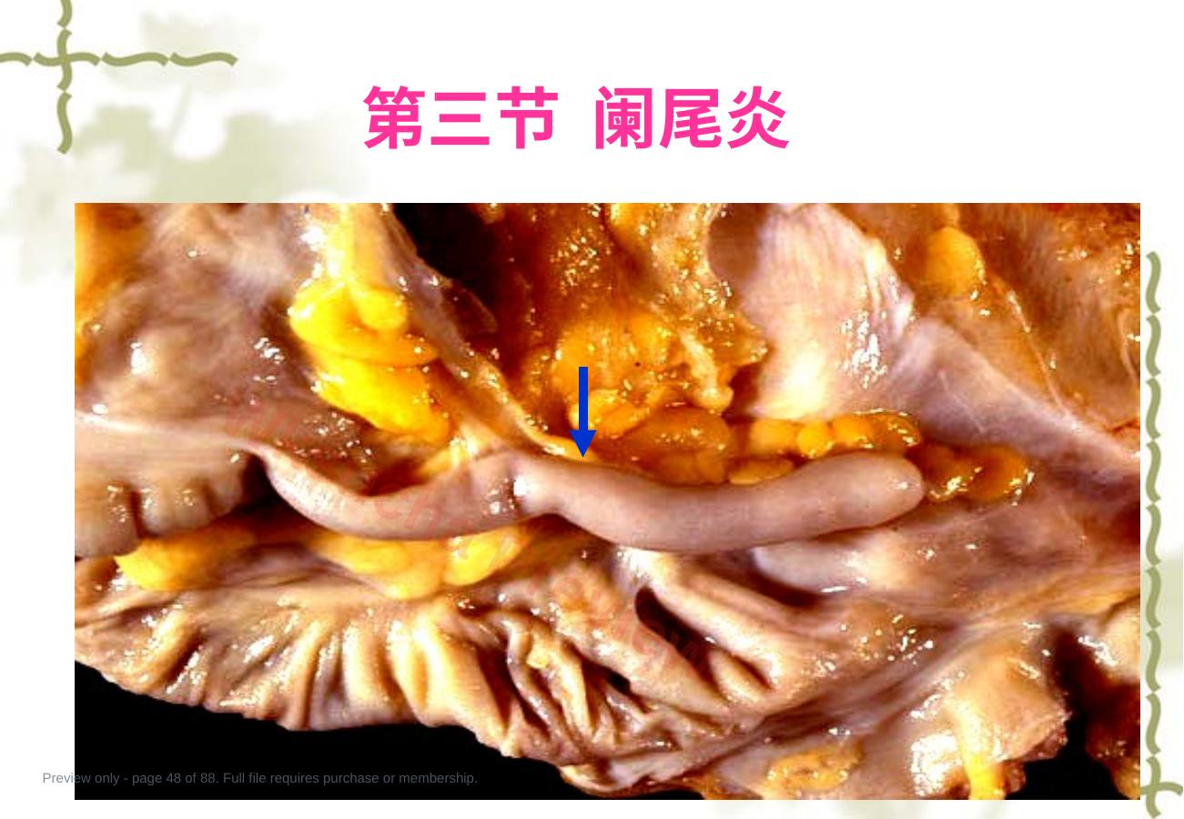 预览第 48 页