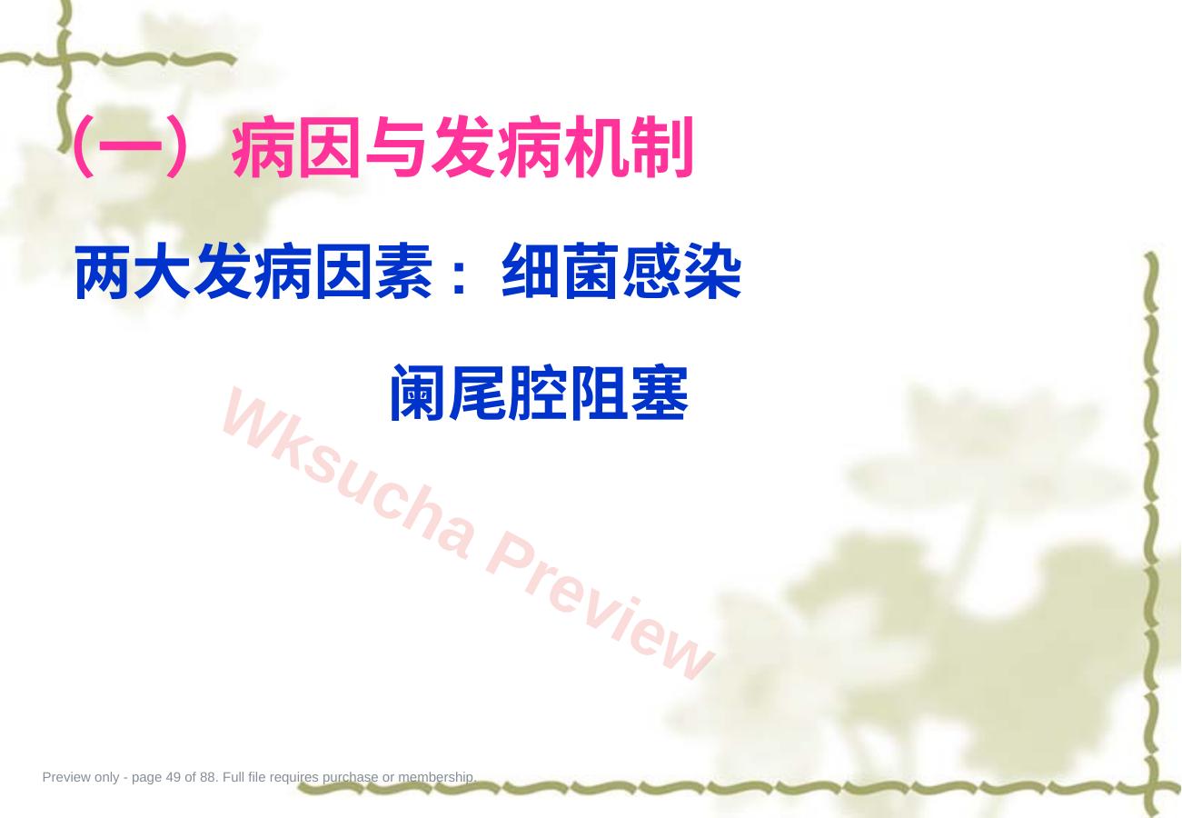 预览第 49 页
