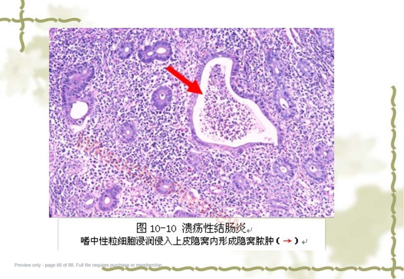 预览第 66 页