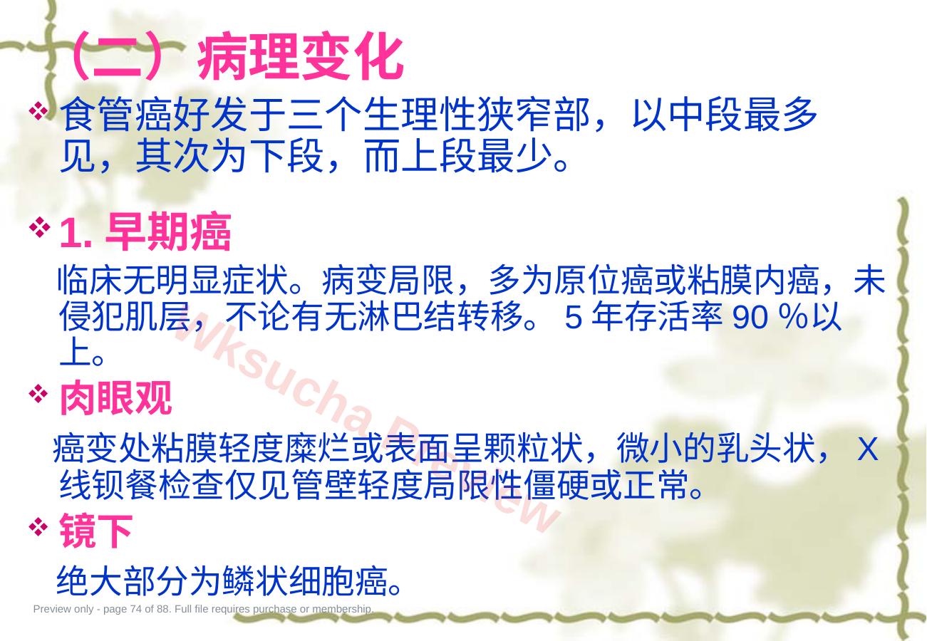 预览第 74 页