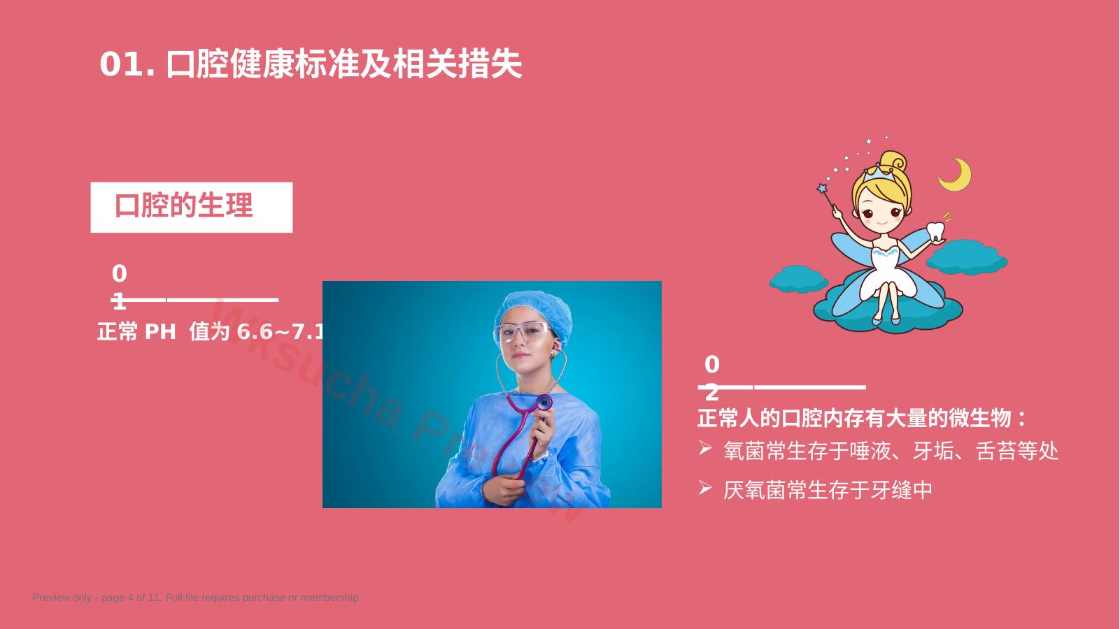 预览第 4 页