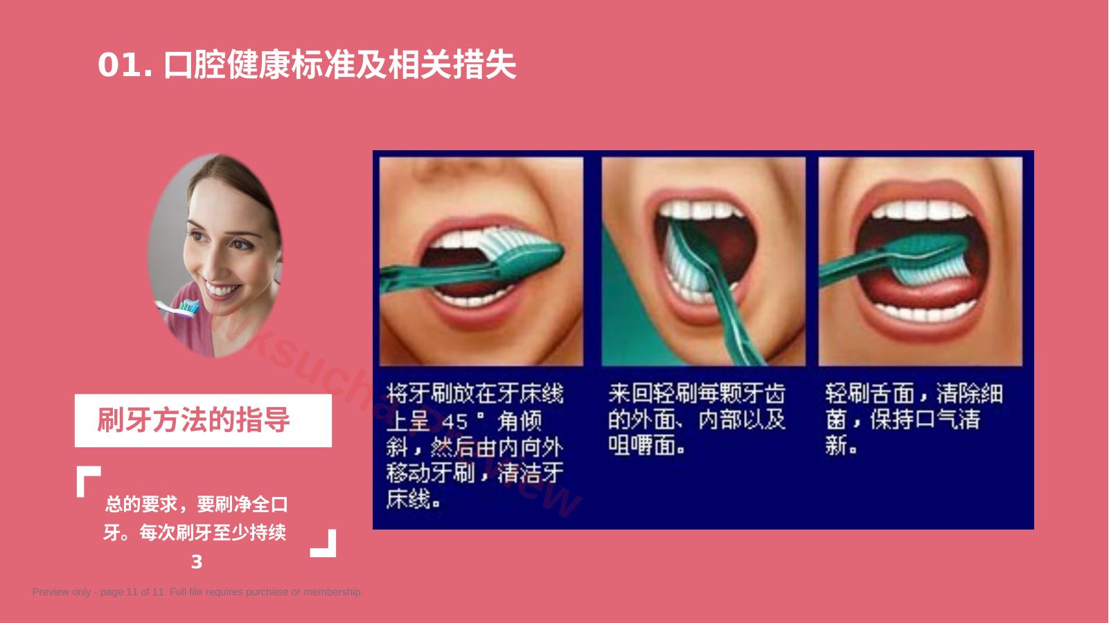 预览第 11 页