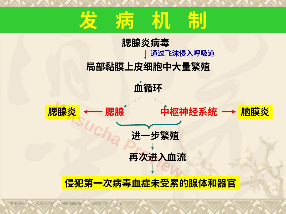 预览第 5 页