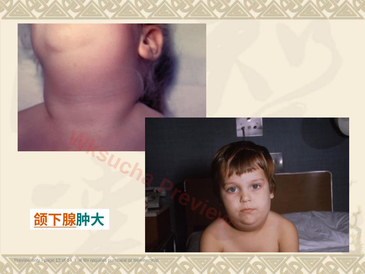 预览第 13 页