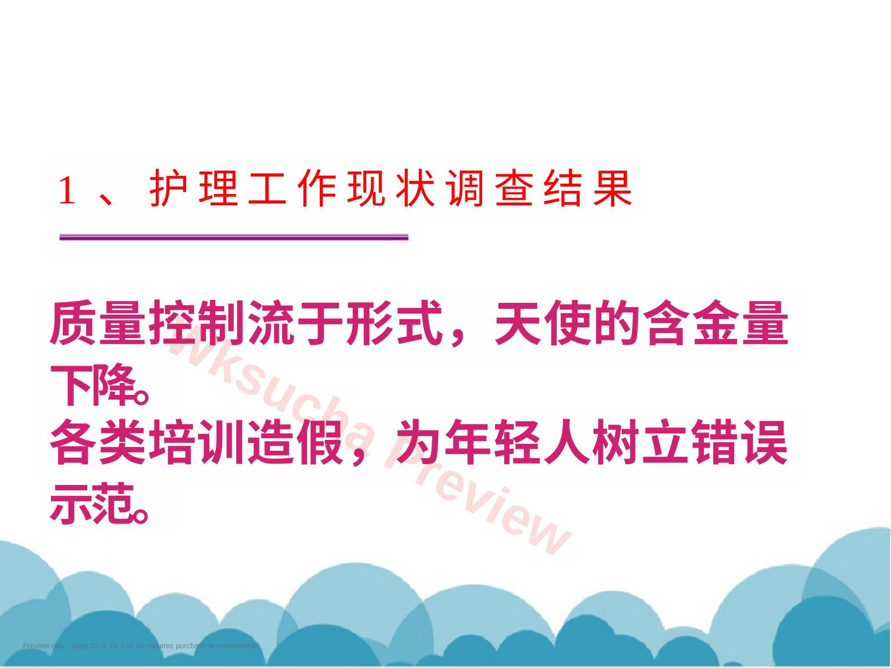 预览第 12 页