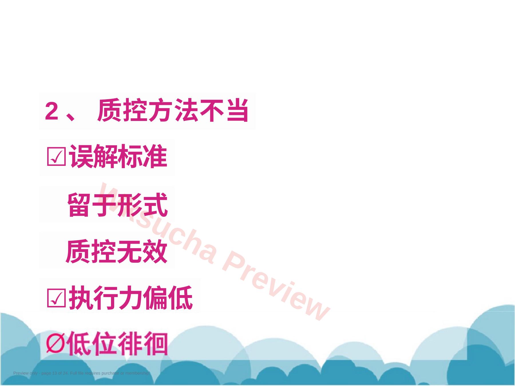 预览第 13 页