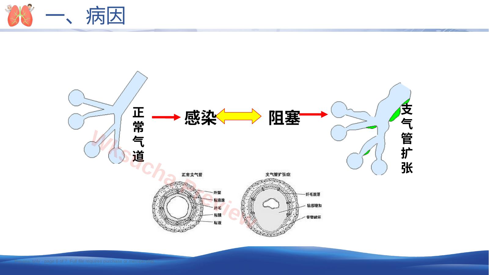 预览第 6 页