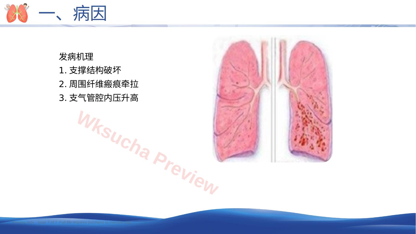 预览第 7 页