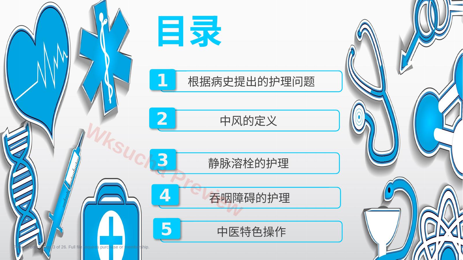 预览第 3 页