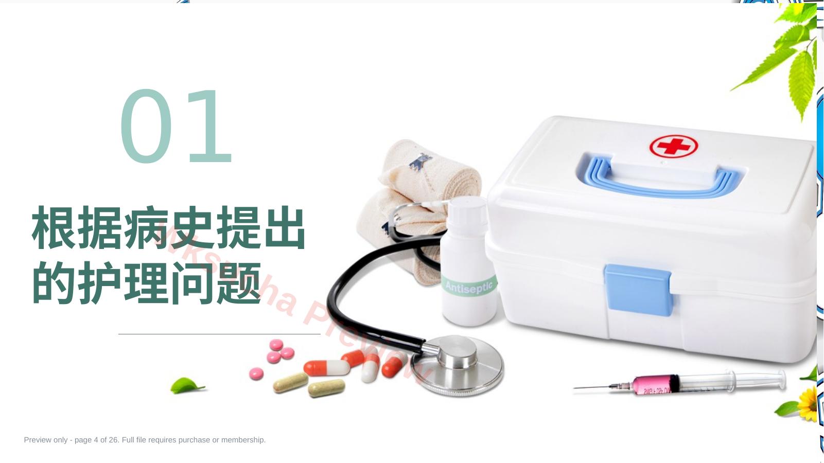 预览第 4 页