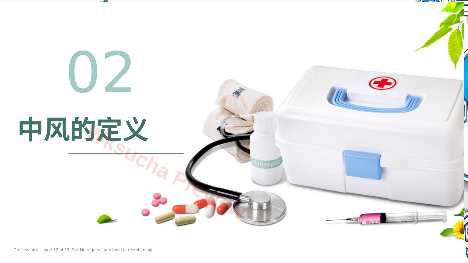 预览第 16 页