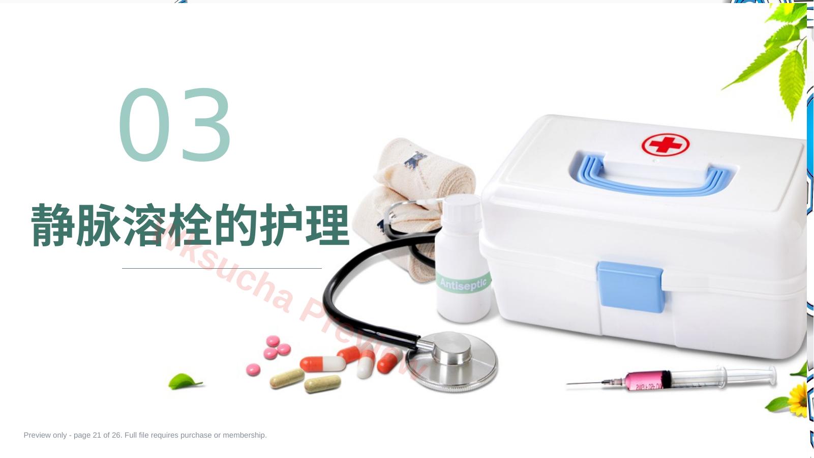 预览第 21 页
