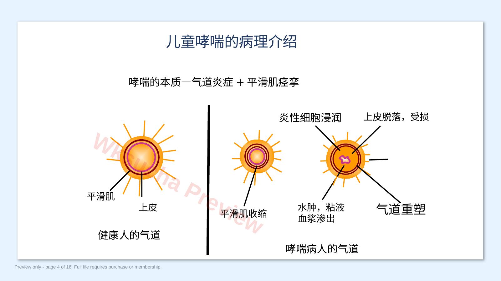 预览第 4 页