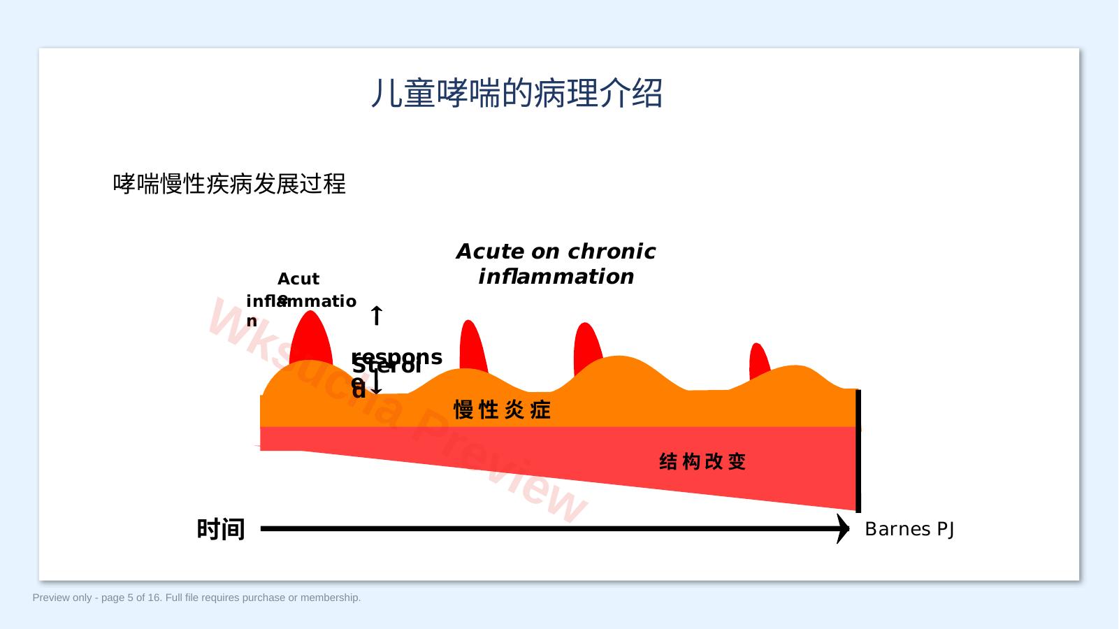 预览第 5 页