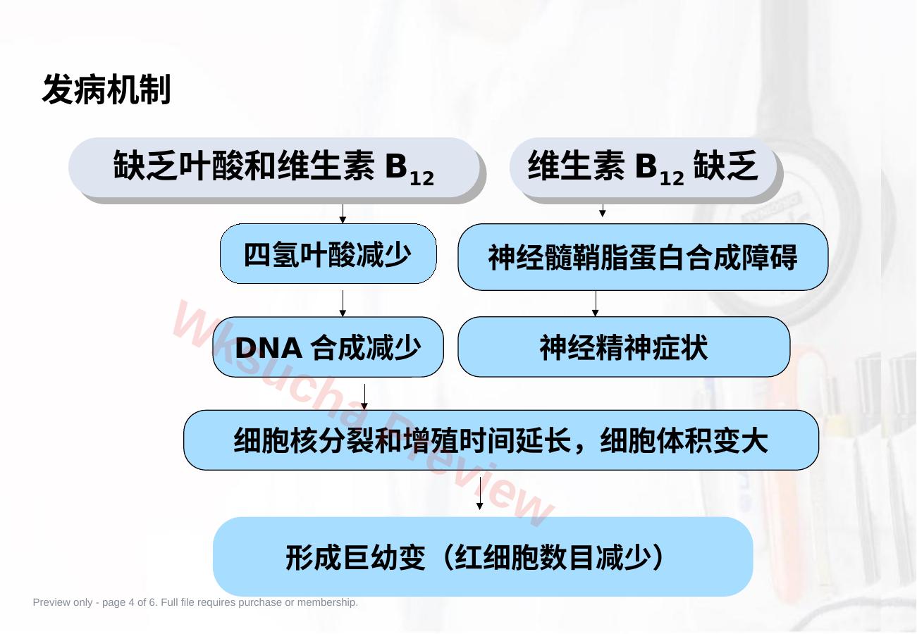 预览第 4 页