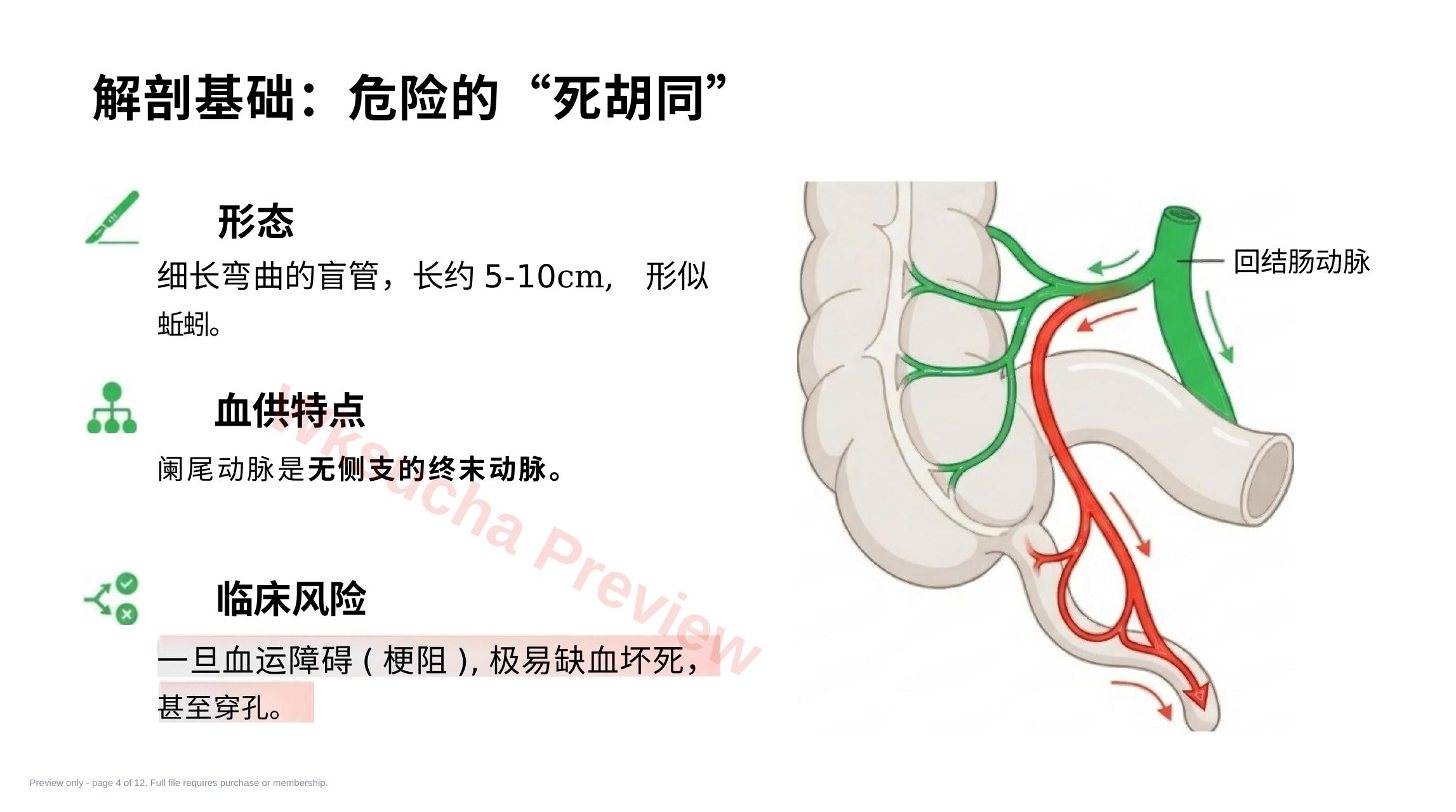 预览第 4 页